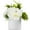 Cream, variant on Enova Home Artificial 3 Larges Silk Peony Mixed with Greenery Faux Flowers Arrangement in White Ceramic Vase for Home Office Wedding Decoration (Cream)