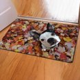thumbnail image 4 of HEVIRGO Doormat Non-Slip 3D Effect Dog Print Flannel Rectangle Carpet Modern Home Decor, 4 of 10