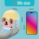 thumbnail image 1 of Anatomy Skull Model, Human Anatomy Skull Puzzle, Human Organ Model, 1 of 5