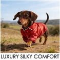 thumbnail image 3 of FOMIYES 1Jgo De Para Perro Con Dos Patas Y De, 3 of 6