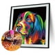 thumbnail image 1 of Cuadros Decorativos 5D perro diamante bordado pintura punto de cruz mosaico decoración del hogar Sywqhk Nuevos Originales, 1 of 1