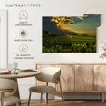 thumbnail image 5 of Elephant Stock South Of France Vineyard Wall Art - Horizontal Canvas Wall Art - Living Room Wall Decor - Nature Canvas - Green And Brown Decor - 24" x 16", 5 of 8