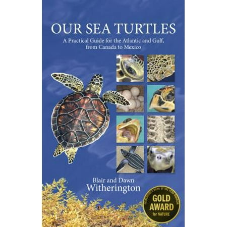 Our Sea Turtles : A Practical Guide for the Atlantic and Gulf, from Canada to