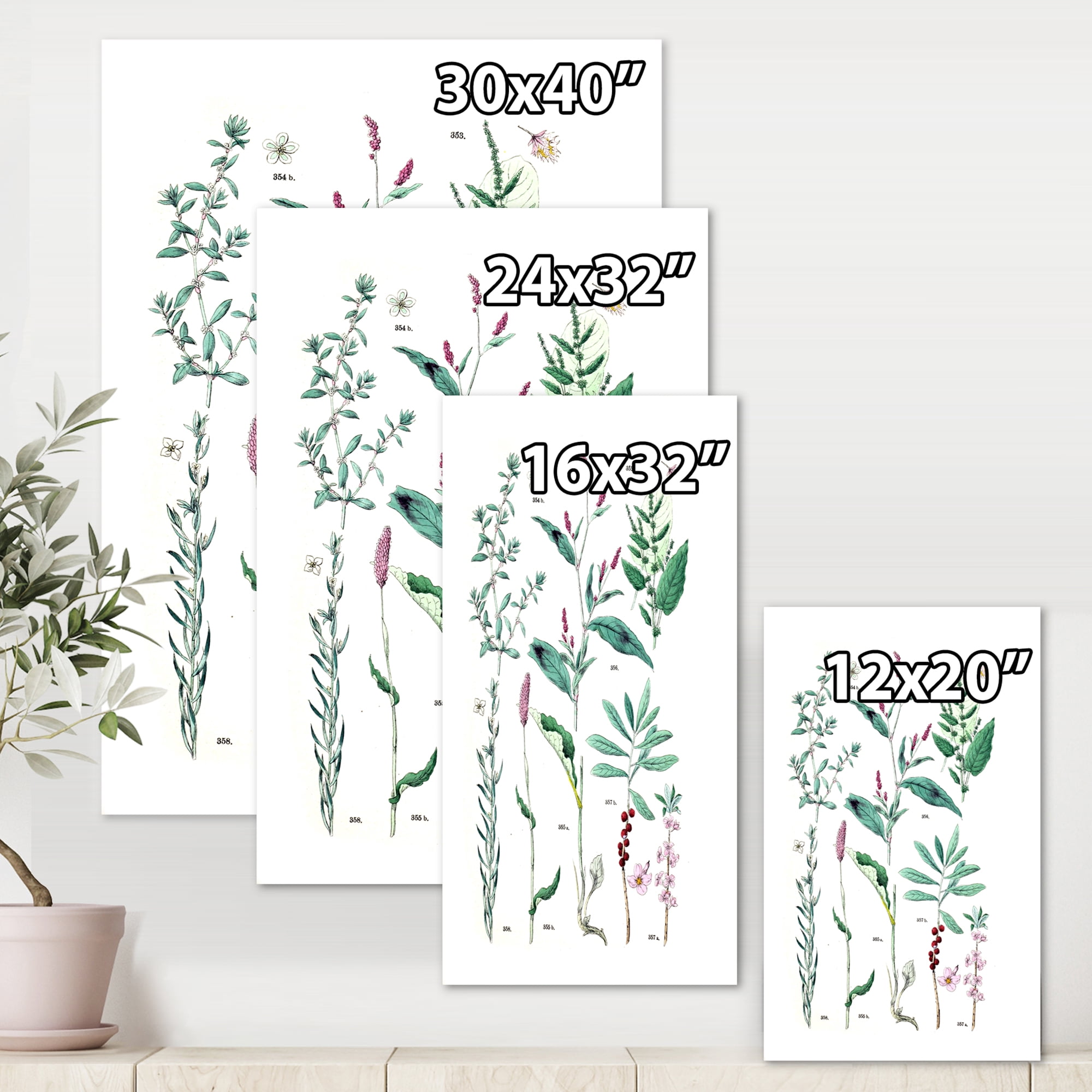Designart ' Ancient Plants ' Traditional Canvas Wall Art Print