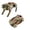 Gold, variant on Racifhz Wind Up Robot Dog Toy Mechanical Transforming Toy Fingertip Stress Relief Bionic Walking Puppy Interactive Desk Toy For Relaxation And Sensory Play , Silver