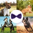 thumbnail image 5 of pajarita formal para perros medianos y grandes Namotu CPB-US-YY664-5, 5 of 5