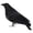 F, variant on BNNG Halloween Black Feathered Crows, Realistic Feathered Black Birds Raven, Halloween Decoration for Indoor Outdoor Home Yard Garden Party Decor