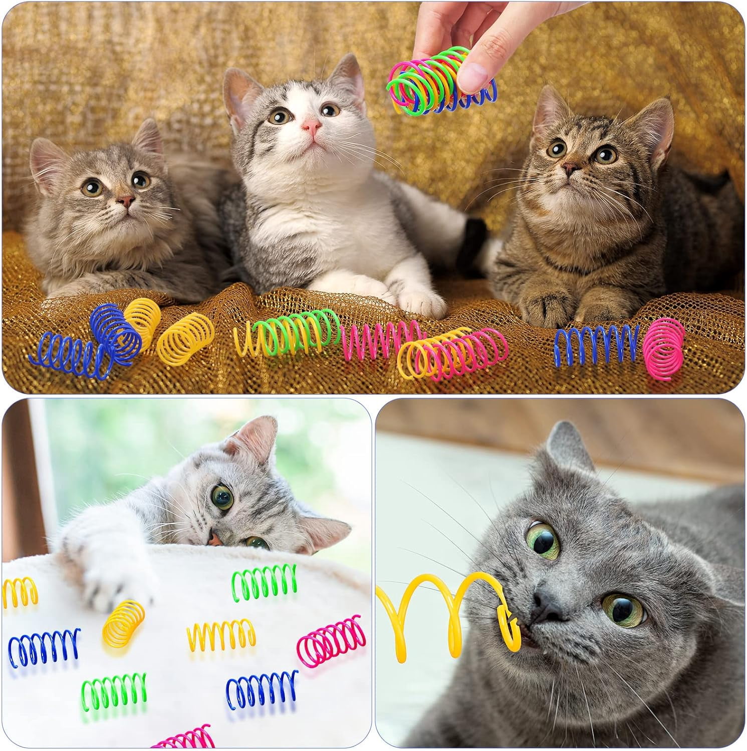 300 Pcs Cat Spring Toy Cat Spiral Toys Interactive for Indoor Colorful Plastic Springs Coil for Kitten Hunting Swatting Biting