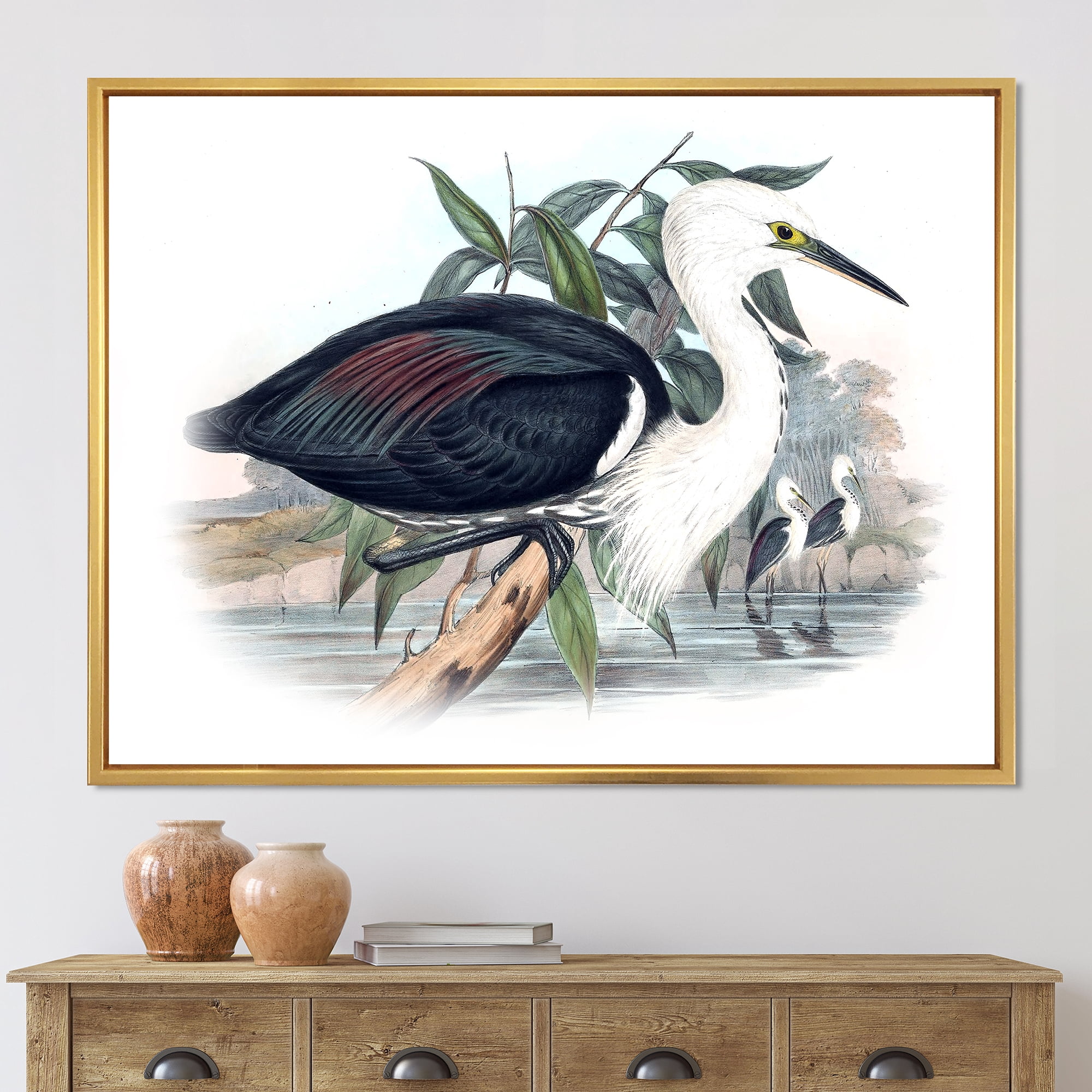 Designart 'Ancient Birds Of Australia' Traditional Framed Canvas Wall Art Print