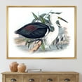 thumbnail image 2 of Designart 'Ancient Birds Of Australia' Traditional Framed Canvas Wall Art Print, 2 of 5