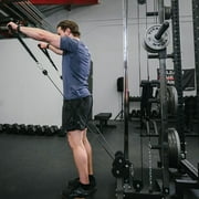 Titan Fitness 80.5 Short Wall Mounted Pulley Tower, 350 LB Capacity Plate-Loaded Cable Machine