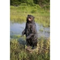 thumbnail image 1 of STATUE d'Ours Debout Qui Grogne, 1 of 4