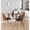 Multicolor, variant on Anabelle Bent Wood Chair, Upholstered Dining Chairs, Mid-Century Modern Dining Chair, Kitchen Chairs for Dining Table, Dining Chairs Set of 2