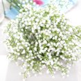 thumbnail image 1 of Flores secas, Han Shi Modern Natural Gypsophila Home Decor Sky Star Babys Breath Gift Large, 1 of 1