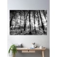 thumbnail image 2 of The Forest Of Haunting Poster Wall Art, Modern Wall Decor, 24x36 UNFRAMED, 2 of 3