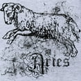 thumbnail image 2 of CafePress - Zodiac Distressed Aries_Wh - Cute Infant Baby Football Bodysuit, 2 of 3