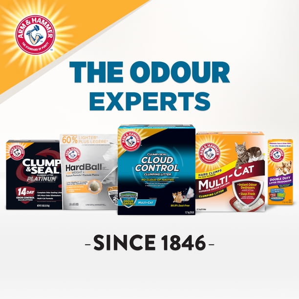 Arm & Hammer Cloud Control Breathe Easy Clumping Cat Litter, 12.7 kg -  Walmart.ca