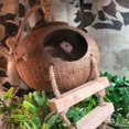 thumbnail image 3 of [ Refugio de Coco para Lagarto Reptil con Escalera MUYG para Gecko Leopardo ], 3 of 7