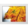 thumbnail image 3 of Erin Berzel 4x24 White Modern Wood Framed Wall Art Titled - Autumn Colors I, 3 of 5