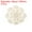 Beige, variant on Fabric Coasters, 4pack 5" - Cotton Woven Crochet Doilies, Lace Embroidery Cup Mat with Floral Pattern (Beige)