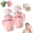 2pcsPink, variant on 2026 New Ear Piercing Cleaner Floss With Cactus Storage Case,Piercing Cleaning Kit,Disposable Ear Hole Cleaner String,Earring Hole Piercing Aftercare Cleaning Tool Set For Girls Women Men (Pink)