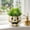D, variant on Fmbmuo White Planter Cute Halloween Fall Farmhouse Centerpiece Facial Expression Glazed Ghost Ceramics Gift for Indoor Tabletop Home Halloween Party