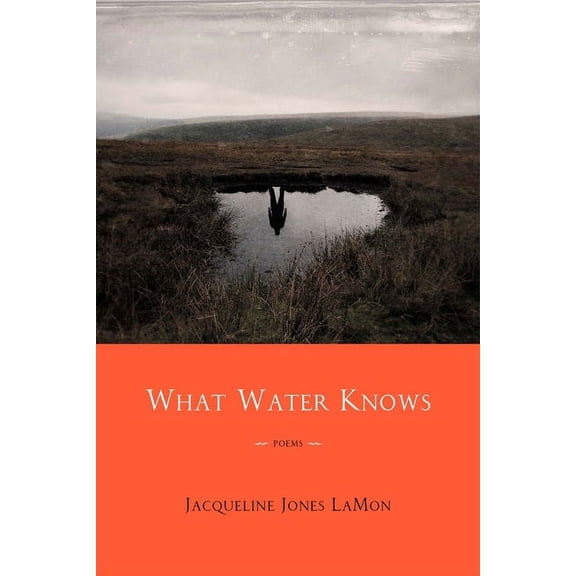 What Water Knows : Poems (Paperback)