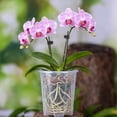 thumbnail image 5 of Clear Plastic Orchid Pots With Holes Saucers For Phalaenopsis Indoor Breathable Flower Plants Containers With Drainage Trays, 5 of 7