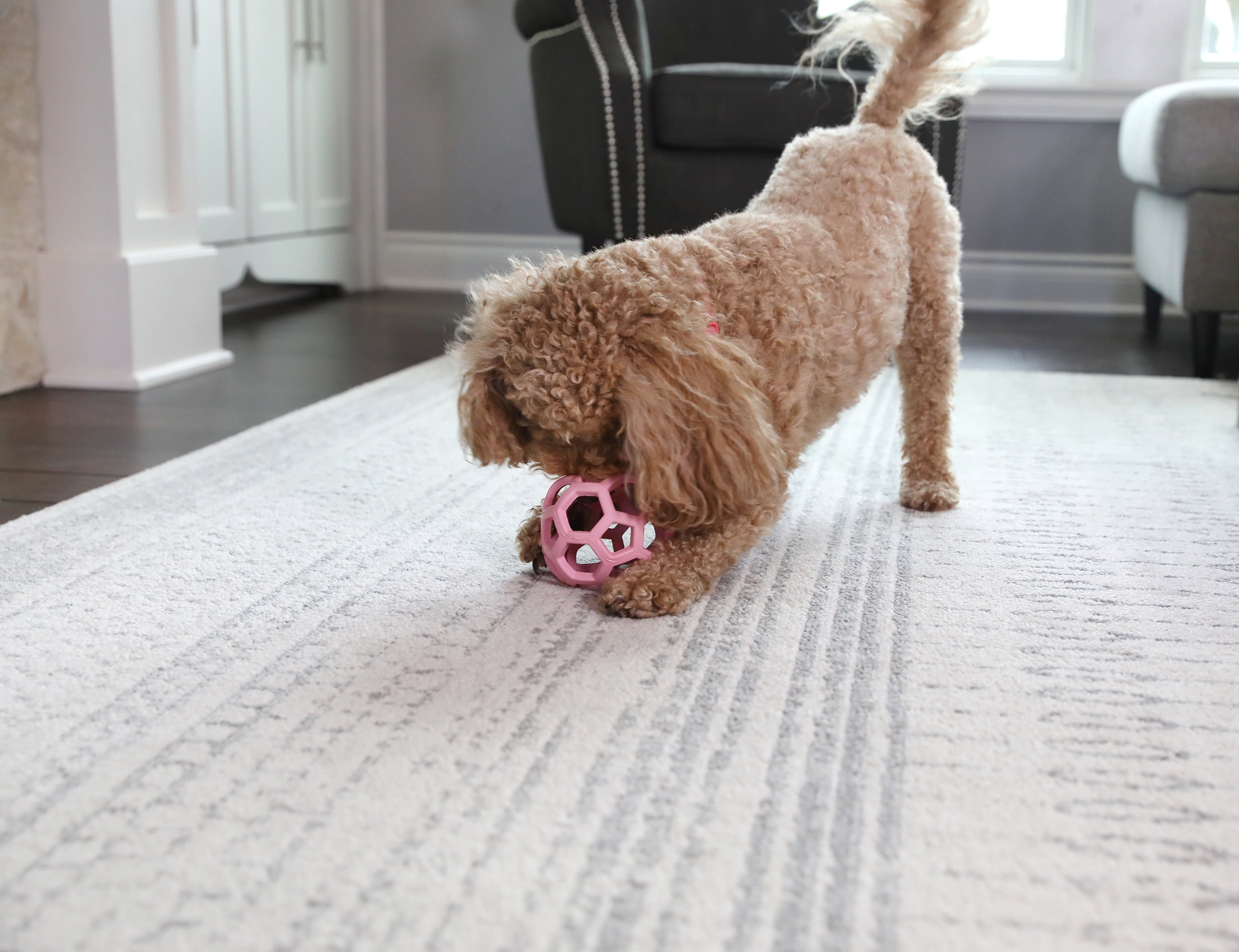 JW HOL-ee Roller™ Tug and Fetch Treat Dispenser Puzzle Ball Dog Toy, Natural Rubber, Medium 4.5" for Dogs 20 to 60 lb, Pink, Pack of 1
