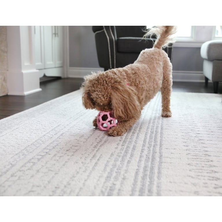 JW Hol-ee Roller Small Dog Ball Puzzle Toy, Pink photo 8
