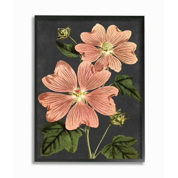 Stupell Industries Botanical Drawing Pink Flower On Black Design Framed Wall Art by Lettered and Lined