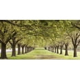 thumbnail image 2 of Ocean IMAGES 24x14 White Modern Wood Framed Museum Art Print Titled - Rows of trees bordering greensward, 2 of 4