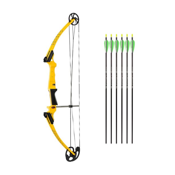 Genesis Archery Original Compound Bow (Right Hand, Yellow) with Arrows (Black)