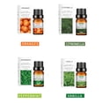 thumbnail image 4 of YiJuHui Aromatherapy Oil for Humidifier, Therapeutic Grade Natural Essential Oils 10 Pack, Stress Relief Home Fragrance, Aromatherapy Diffuser Oils Set for Relaxation Sleep Gift, 4 of 9