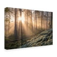 thumbnail image 3 of Canvas Wall Art - Christian Lindsten 'Fog In The Forest With White Moss In The Forground' Wall Art for Living Room, Bedroom, or Office Décor by Trademark Fine Art - 24 x 16 Inches, 3 of 4