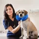 thumbnail image 5 of Collar Inflable De Recuperación Isabelino Para Perros Y Gato, 5 of 8