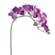 thumbnail image 2 of La nueva orquídea de simulación 1 Uds., 2 of 3