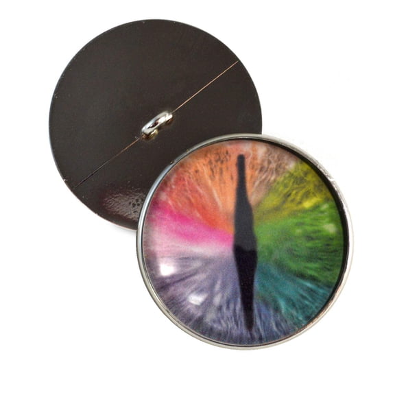 Rainbow Dragon Sew-On Button Glass Eyes