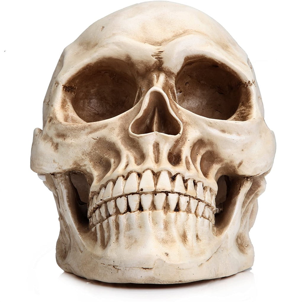 Life Size Realistic Human Skull Gothic Halloween Decoration Ornament Party Prop 