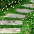 thumbnail image 4 of GUANGHONG Ensemble de 10 Décorations de Jardin Extérieur Petits Piquets pour Cour, 4 of 9