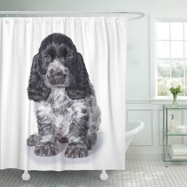 Libin Baby Adorable English Cocker Spaniel Puppy White Breed Shower Curtain 66x72 inch
