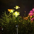 thumbnail image 6 of TERGAYEE Solar Garden Lights Outdoor,Solar Garden Lights with Daffodil Flowers Solar Garden Stake Lights for Garden Patio Yard Pathway Decoration, 6 of 7