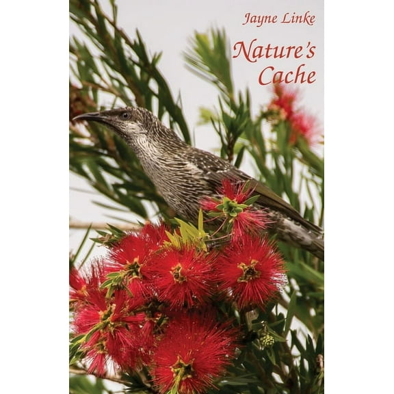 Nature's Cache, (Paperback)