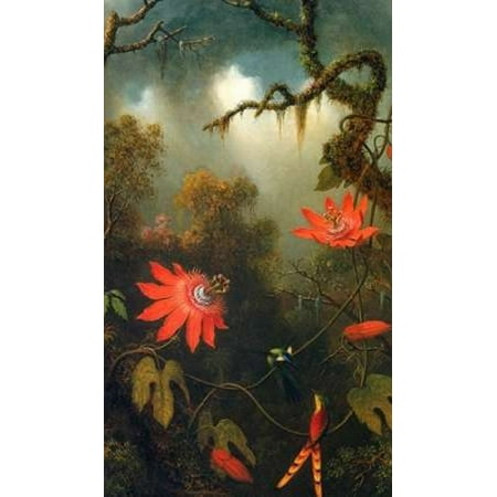 Blue Passion Vine - Two Hummingbirds Perched On Passion Flower Vines Poster Print by Martin Johnson Heade