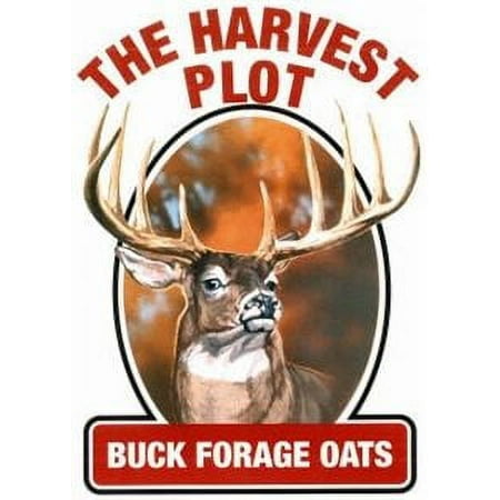 Dibbs Seed Buck Forage Oats Block Deer Hunting Attractant White 5 lb