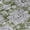 Olive, variant on Addison Rugs Chantille Indoor/Outdoor Transitional Floral Aloe Washable Rectangle Rug, 1'8" x 2'6"
