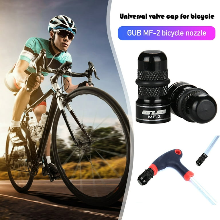 Mountain bike hotsell tyre valves