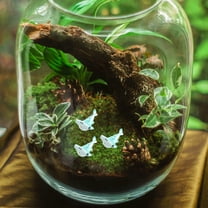 Phenofice 12Pcs Small Shark Figurines Durable Micro Landscape Garden Decoration