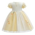 thumbnail image 2 of Emy Dola Baby Girl Cartoon Lace Dress Toddler Puff Sleeve Princess Tutu Dress Kids Wedding Party Dress Up, 2 of 4
