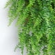 thumbnail image 3 of Planta Verde Artificial 2 Piezas Planta Colgante Artificial Hojas de Hiedra de Pared Falsas para Interiores y Exteriores, Decoración Interior Verde Deco Vid Falsa para Sala de Estar y Jardín María, 3 of 5